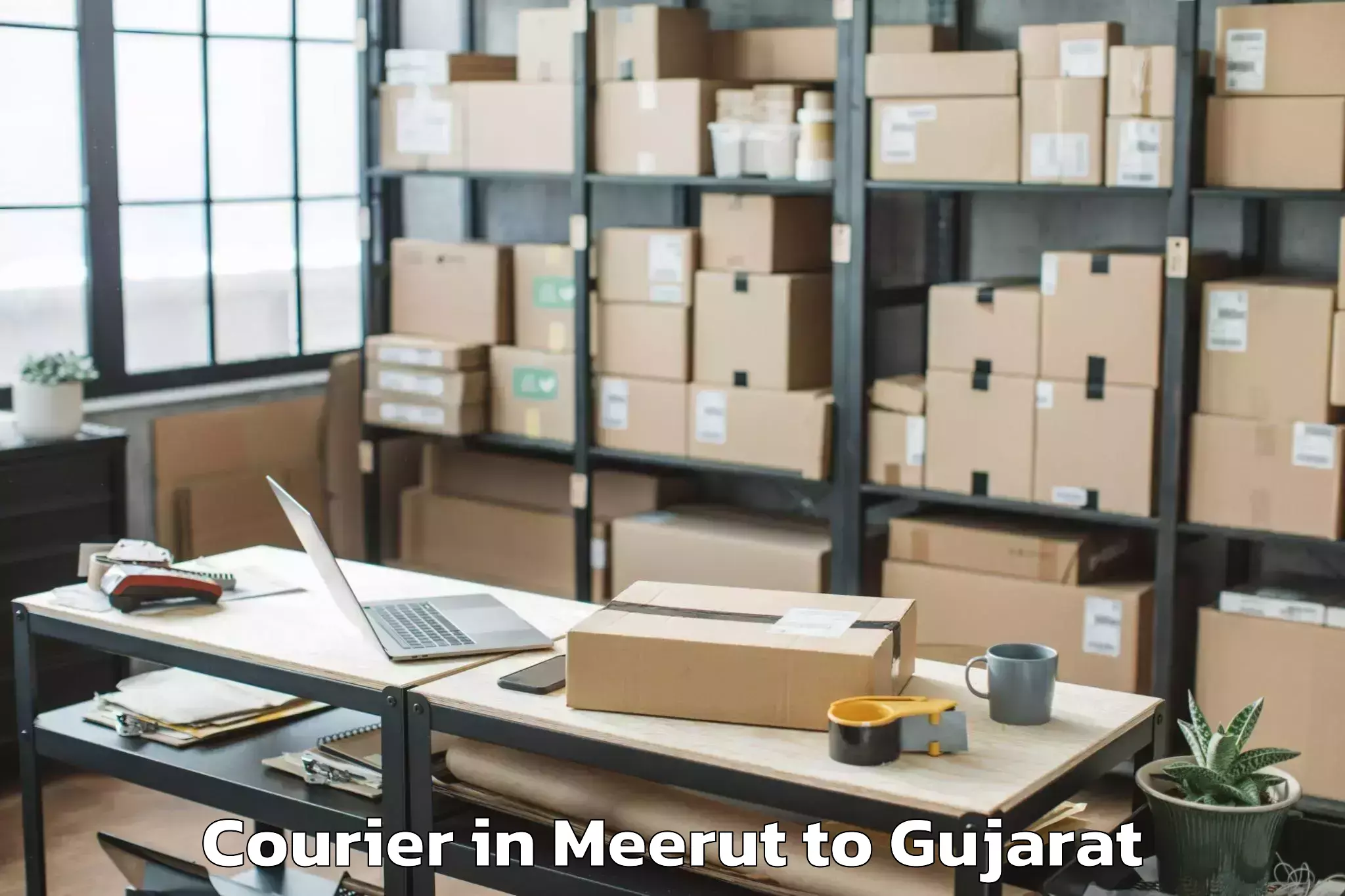 Trusted Meerut to Rajpipla Courier